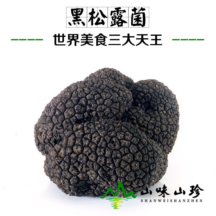 新鲜黑松露