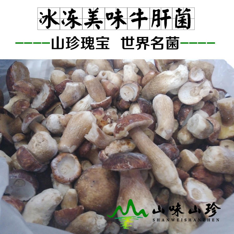 冰冻美味牛肝菌