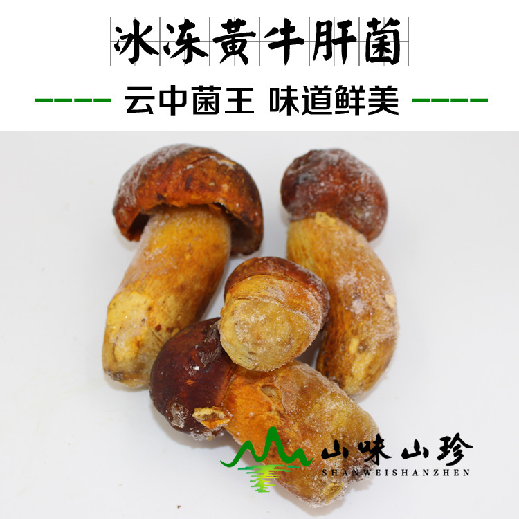 冰冻黄牛肝菌