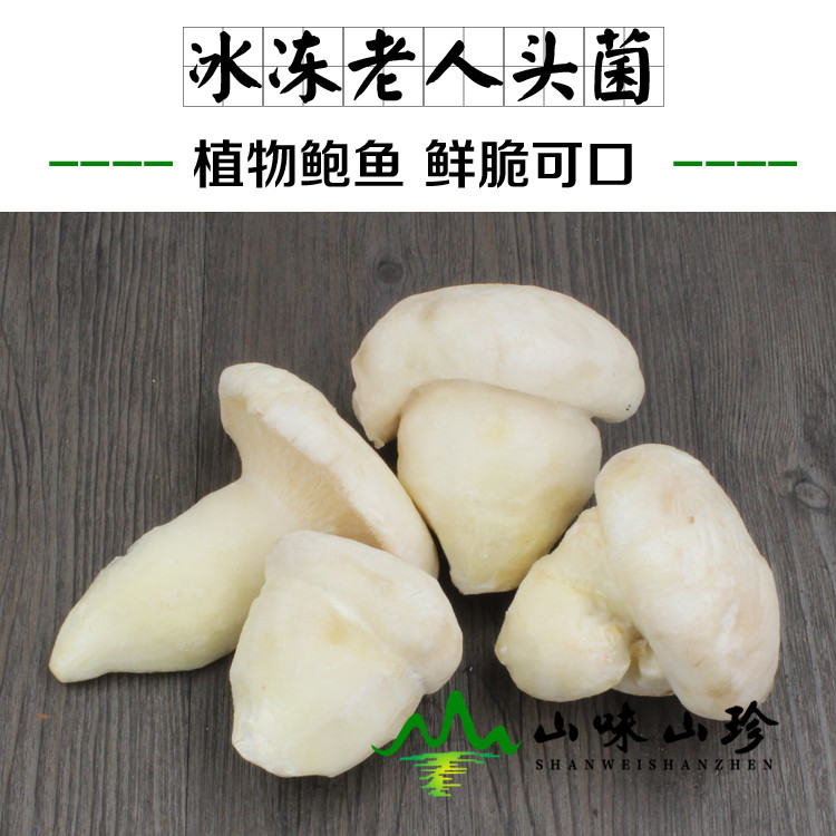 冰冻老人头菌