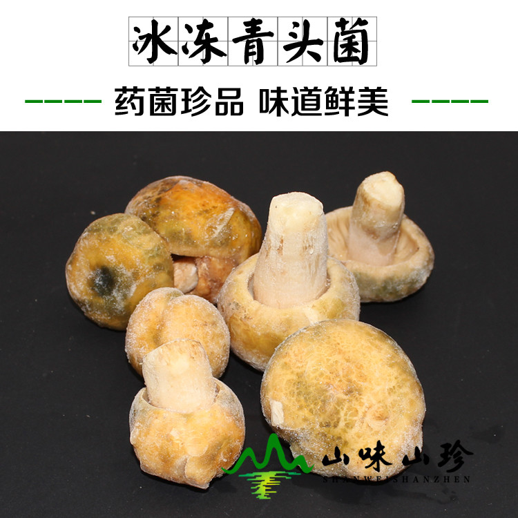 冰冻青头菌