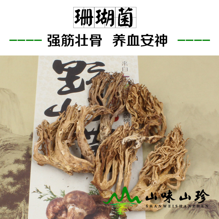 干品珊瑚菌