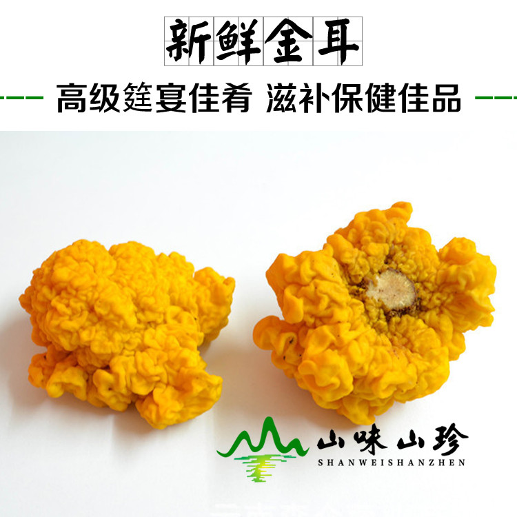 新鲜金耳