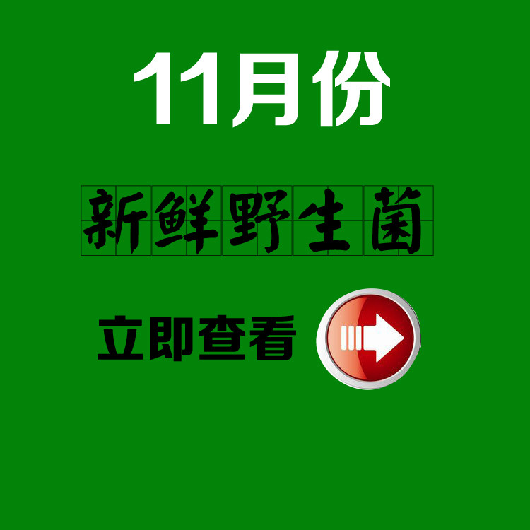 11月新鲜食用菌种类
