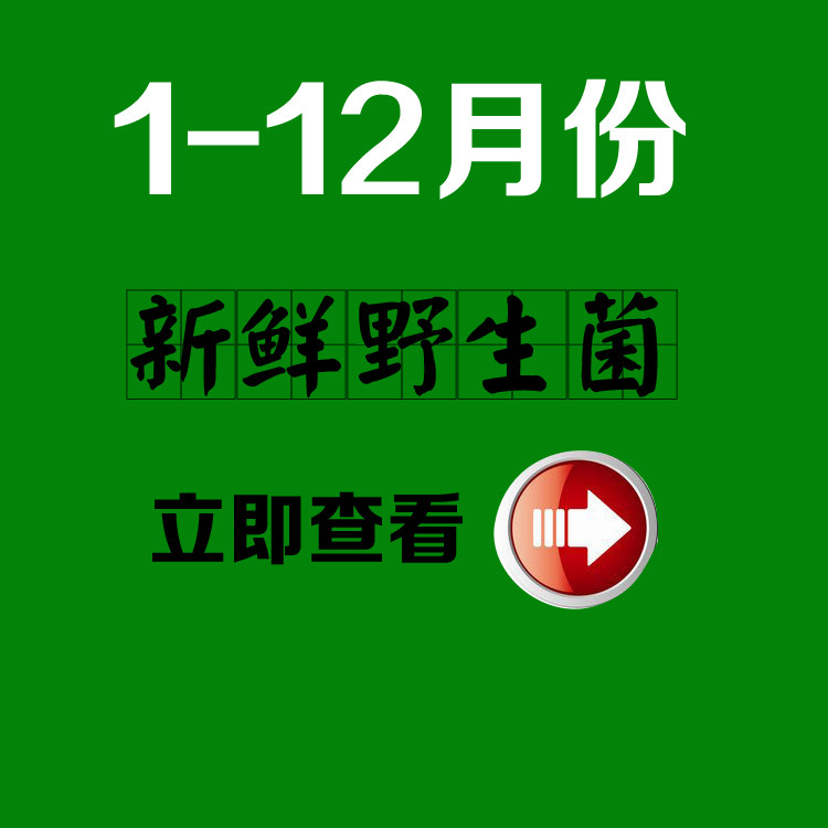 云南野生菌生长月份季节列表