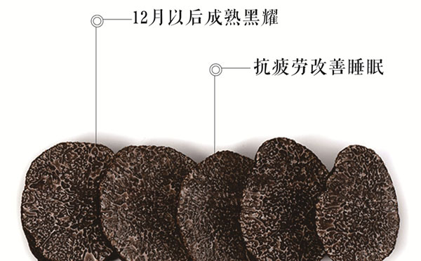 黑松露的营养价值有哪些
