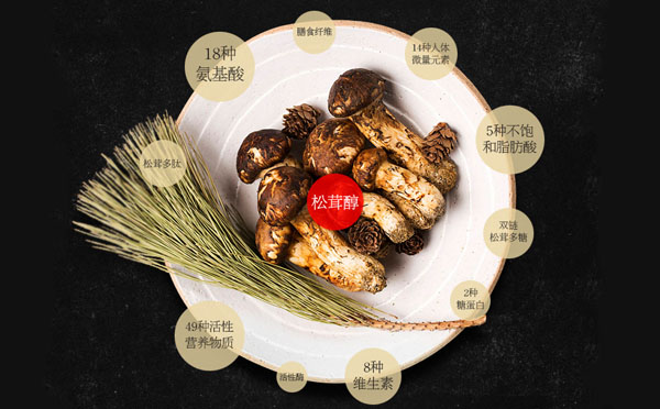松茸酒有什么功效与作用