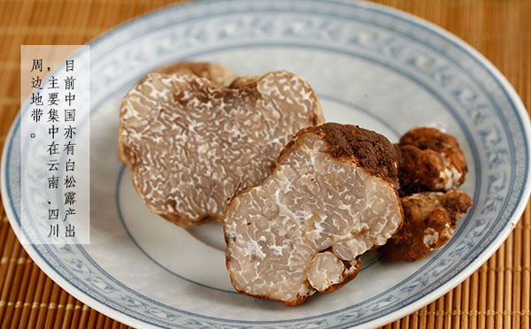 白松露是什么东西