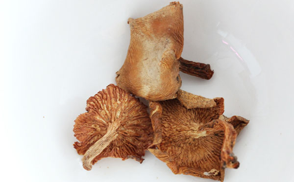 干鸡油菌怎么吃