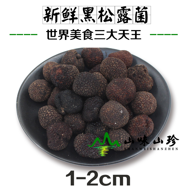新鲜黑松露1-2cm--经济实惠