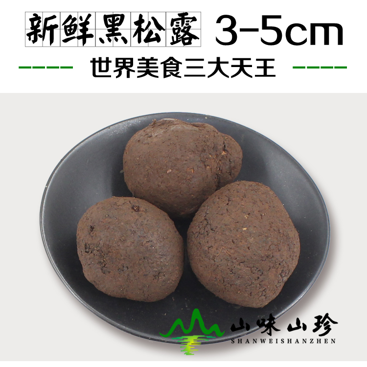 新鲜黑松露3-5cm--热门推荐