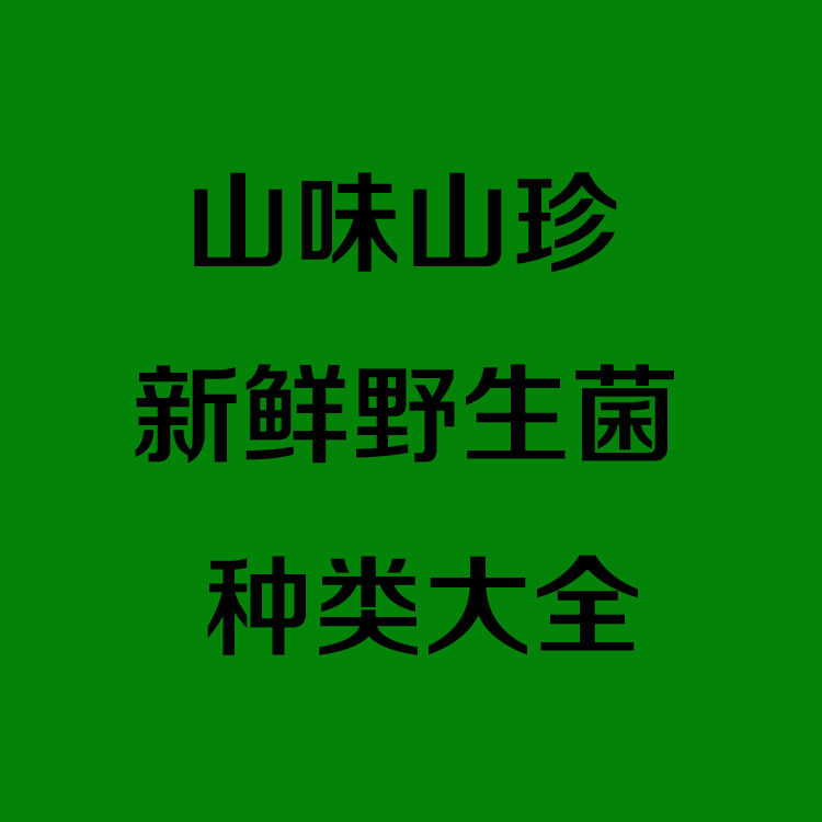新鲜野生菌