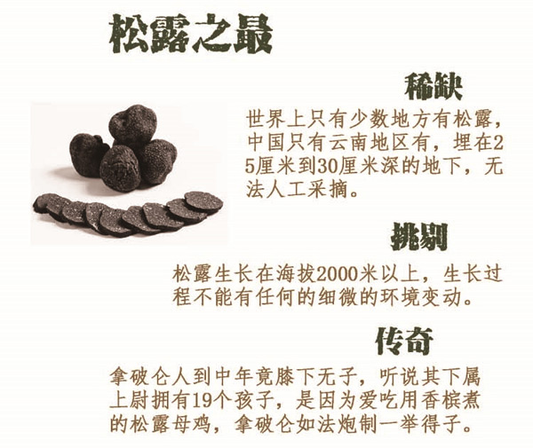 新鲜黑松露可以生吃