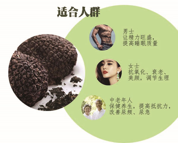 新鲜黑松露可以生吃吗