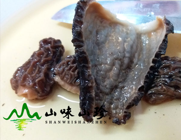 干羊肚菌怎么泡发以及时长