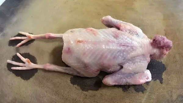 黑松露炖鸽子汤