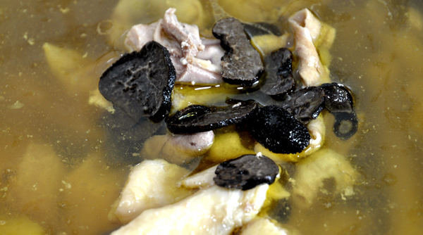 松露鸽子汤