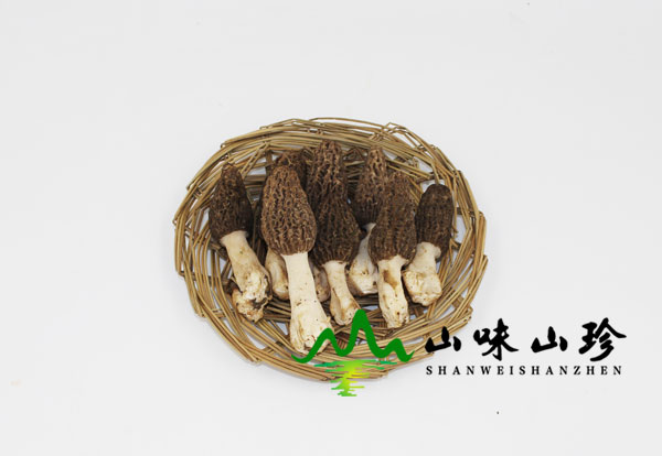 羊肚菌如何挑选