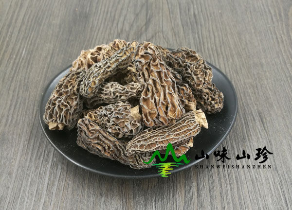 哪里产的野生羊肚菌最好?羊肚菌的最大产地是哪儿