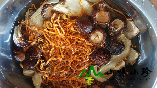 干松茸不泡发直接煲汤好吗