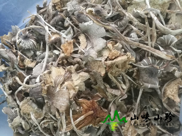 干品鸡枞细节图