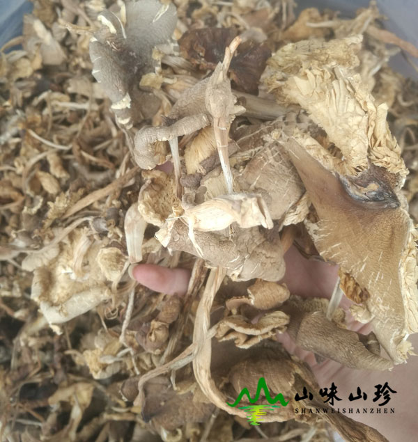 干品鸡枞图