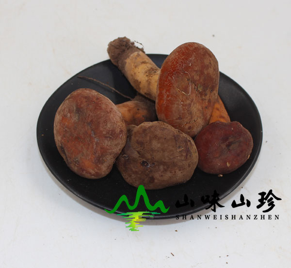 新鲜奶浆菌图二