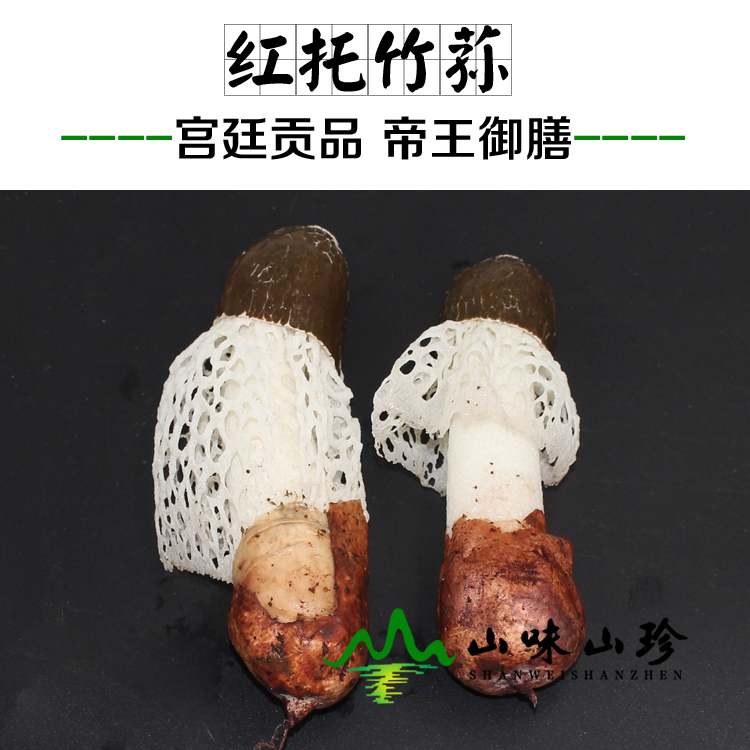 新鲜竹荪
