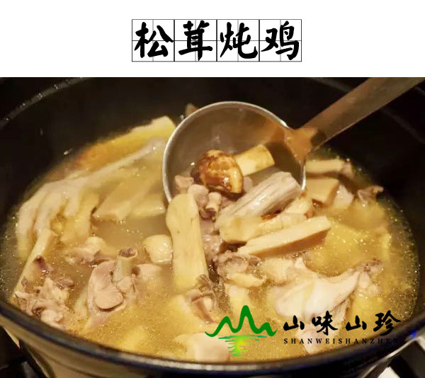 松茸炖鸡的做法