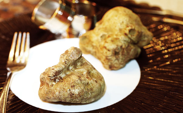 黑松露和白松露哪个更贵