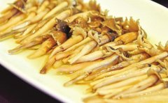 鸡枞菌和白蚁是什么关系