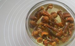 巴西姬松茸可以泡酒喝吗