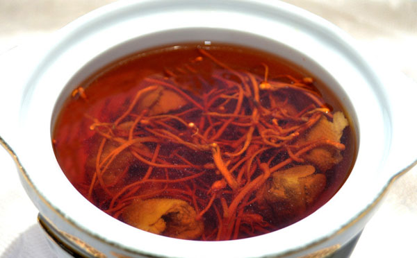 什么是虫草花