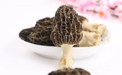 感冒可以吃羊肚菌吗