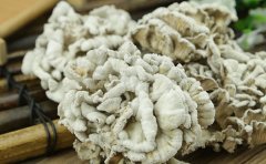 白参菌的营养价值