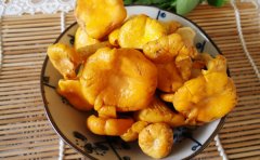 鸡油菌规格有哪些