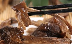 鸡纵菌的生长环境