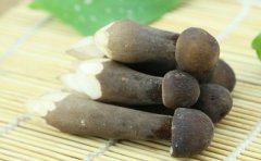 黑鸡枞菌的功效与作用
