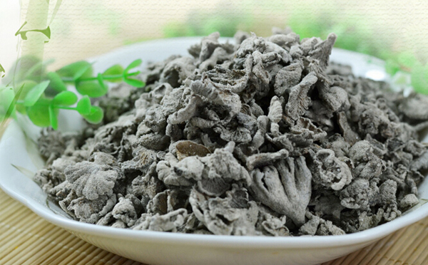 野生白参菌的功能特点