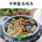 牛肝菌乌鸡汤