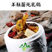 羊肚菌炖乳鸽