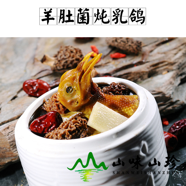 羊肚菌炖乳鸽