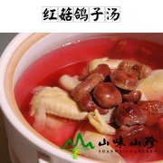 红菇鸽子汤