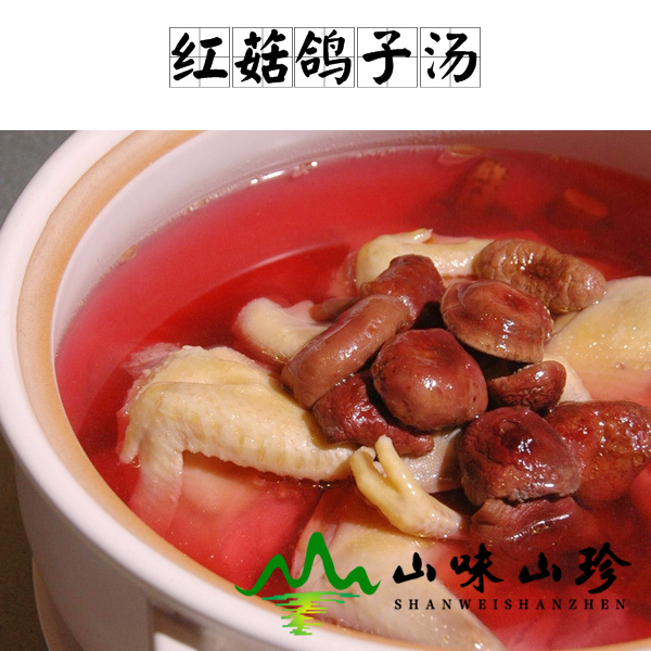 红菇鸽子汤的做法