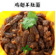 鸡翅羊肚菌