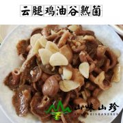 云腿鸡油谷熟菌