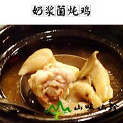 奶浆菌炖鸡
