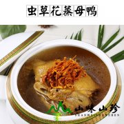 虫草花蒸母鸭