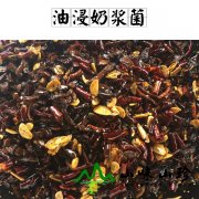 油浸奶浆菌