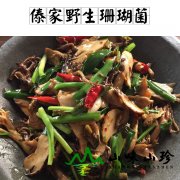 傣家野生珊瑚菌
